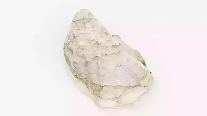 Fine de Claire Oyster 3D model