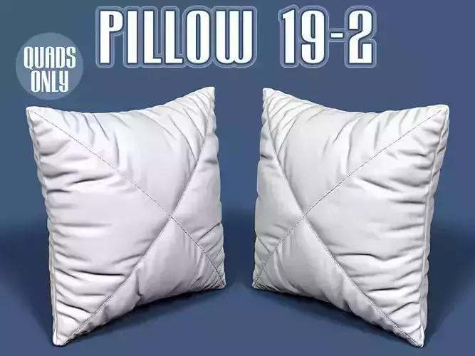 Pillow 19-2
