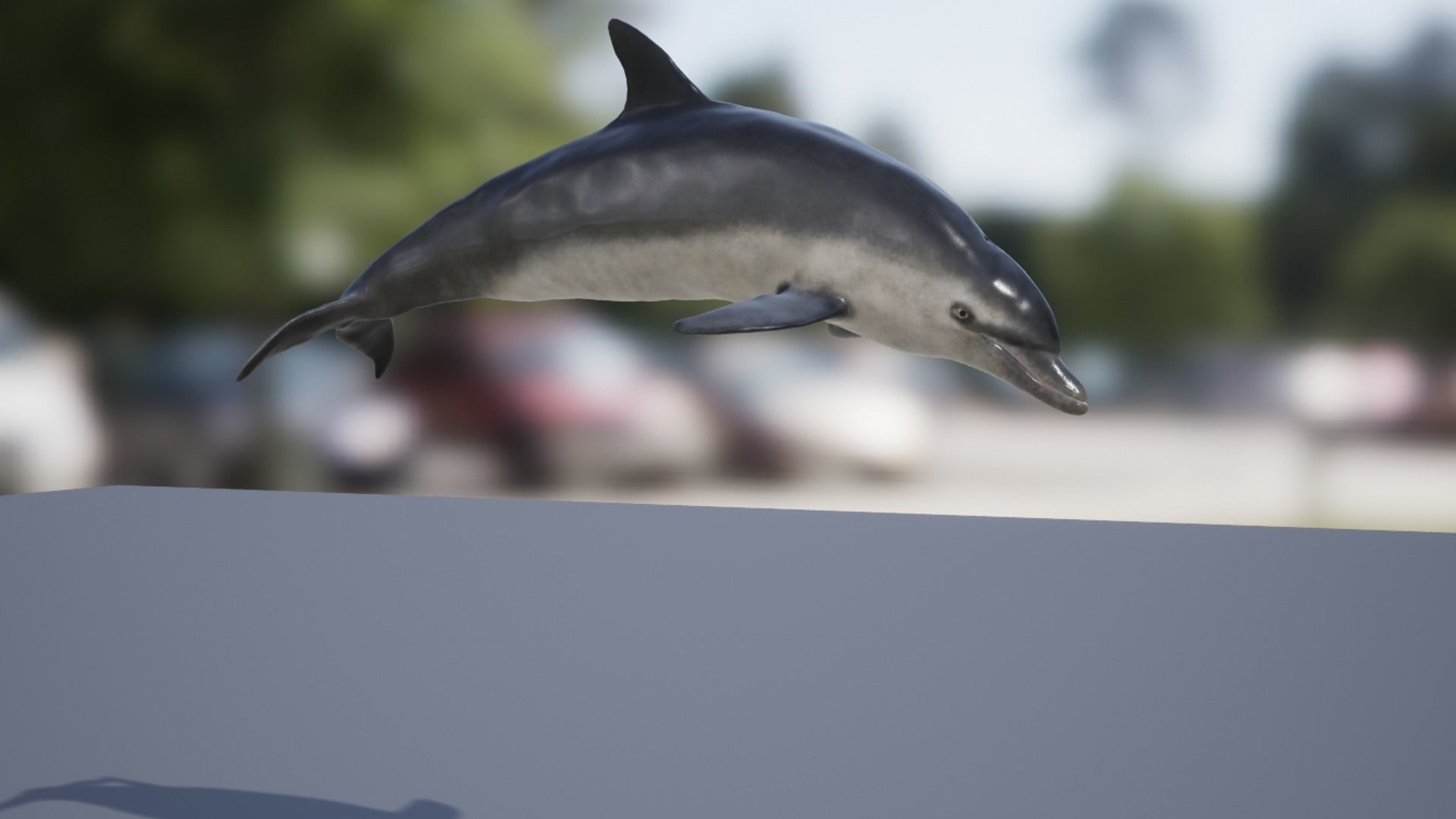 Bottlenose Dolphin Low-poly 3D model_14