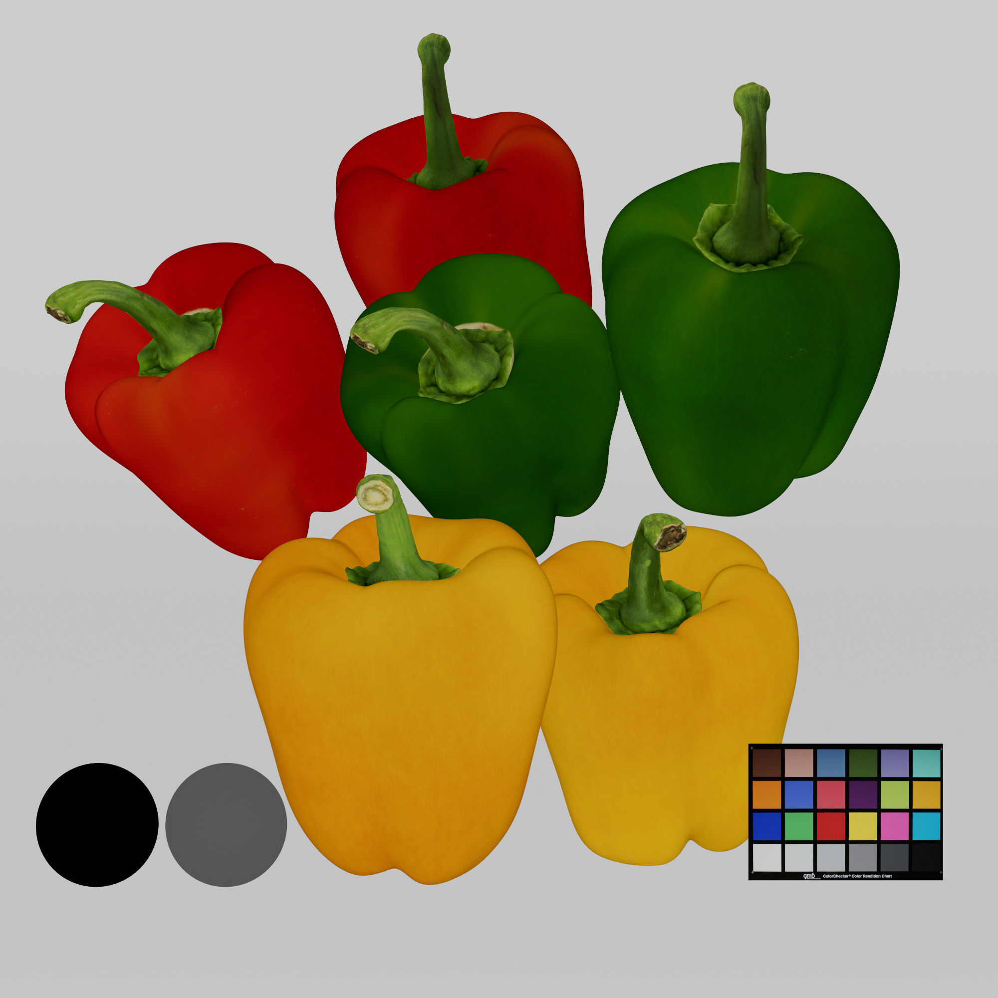 Paprika - Package 3D model_2