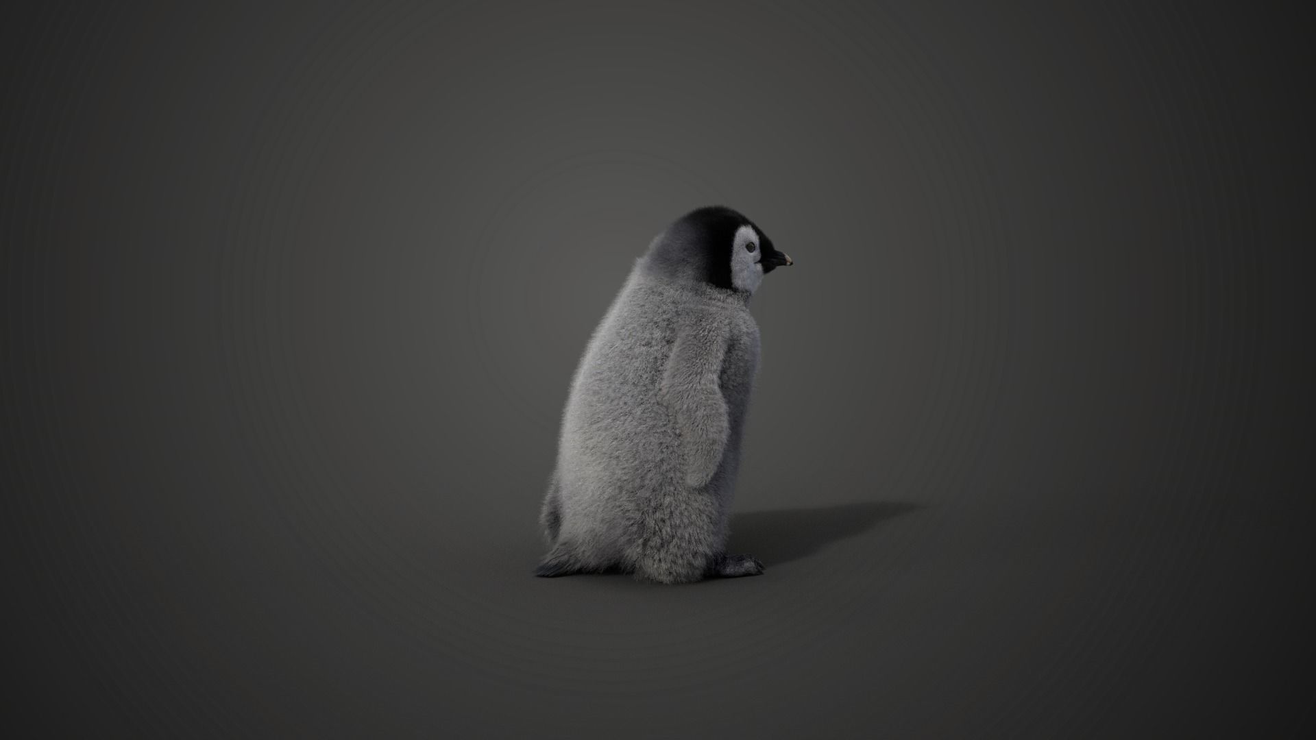 Baby Emperor Penguin Animated VFX Grace 3D model_14
