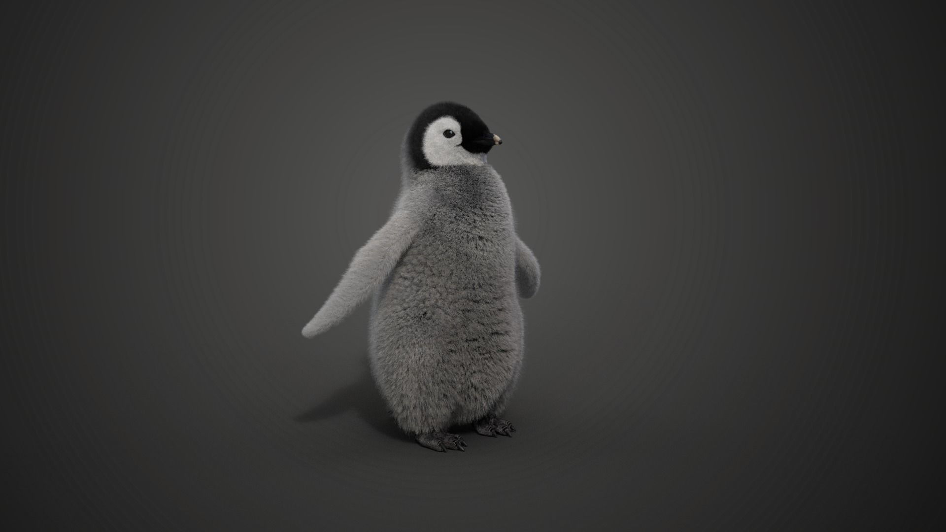Baby Emperor Penguin Animated VFX Grace 3D model_11
