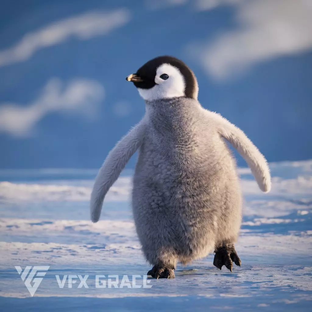 Baby Emperor Penguin Animated VFX Grace 3D model_0