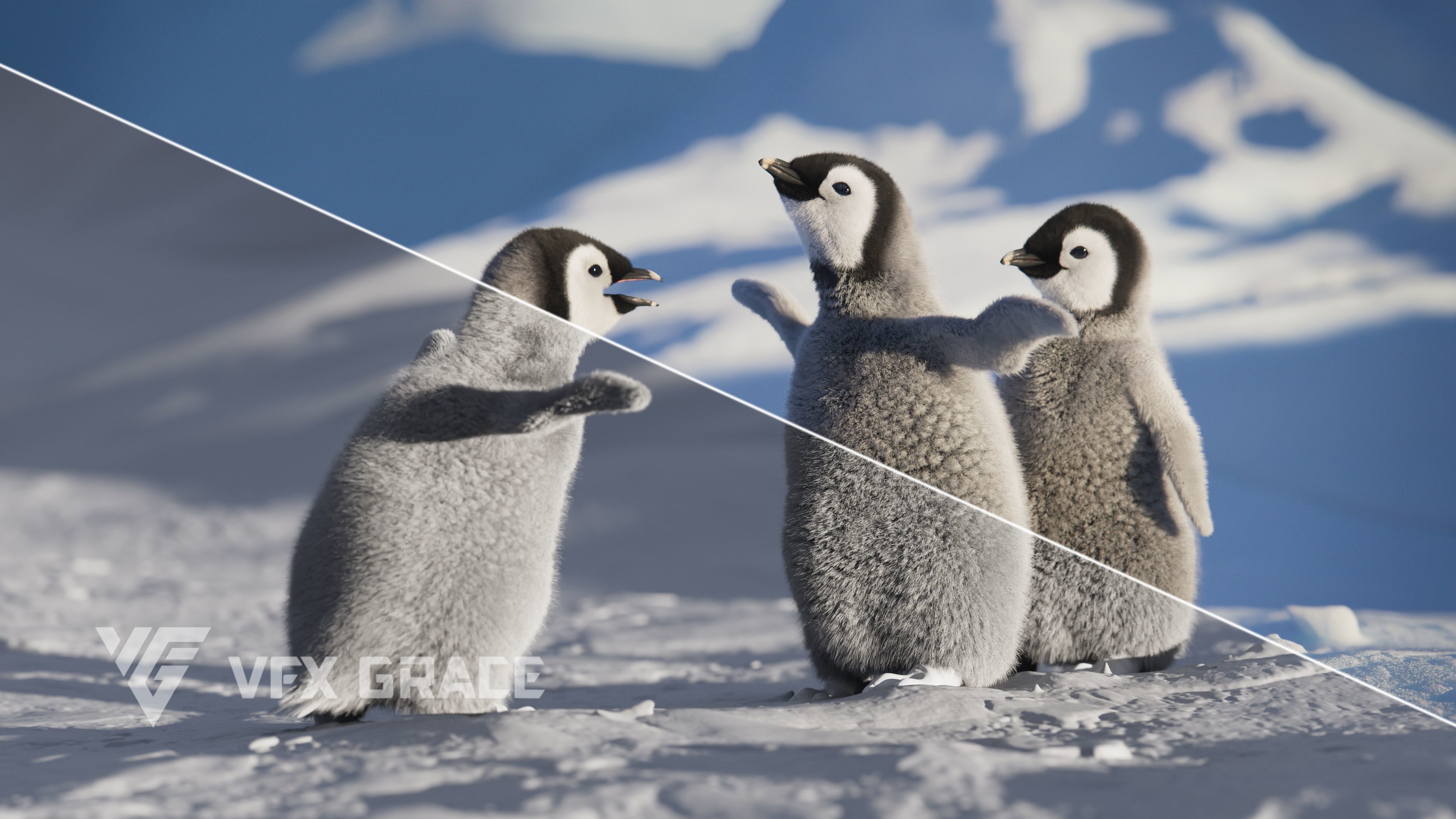 Baby Emperor Penguin Animated VFX Grace 3D model_4