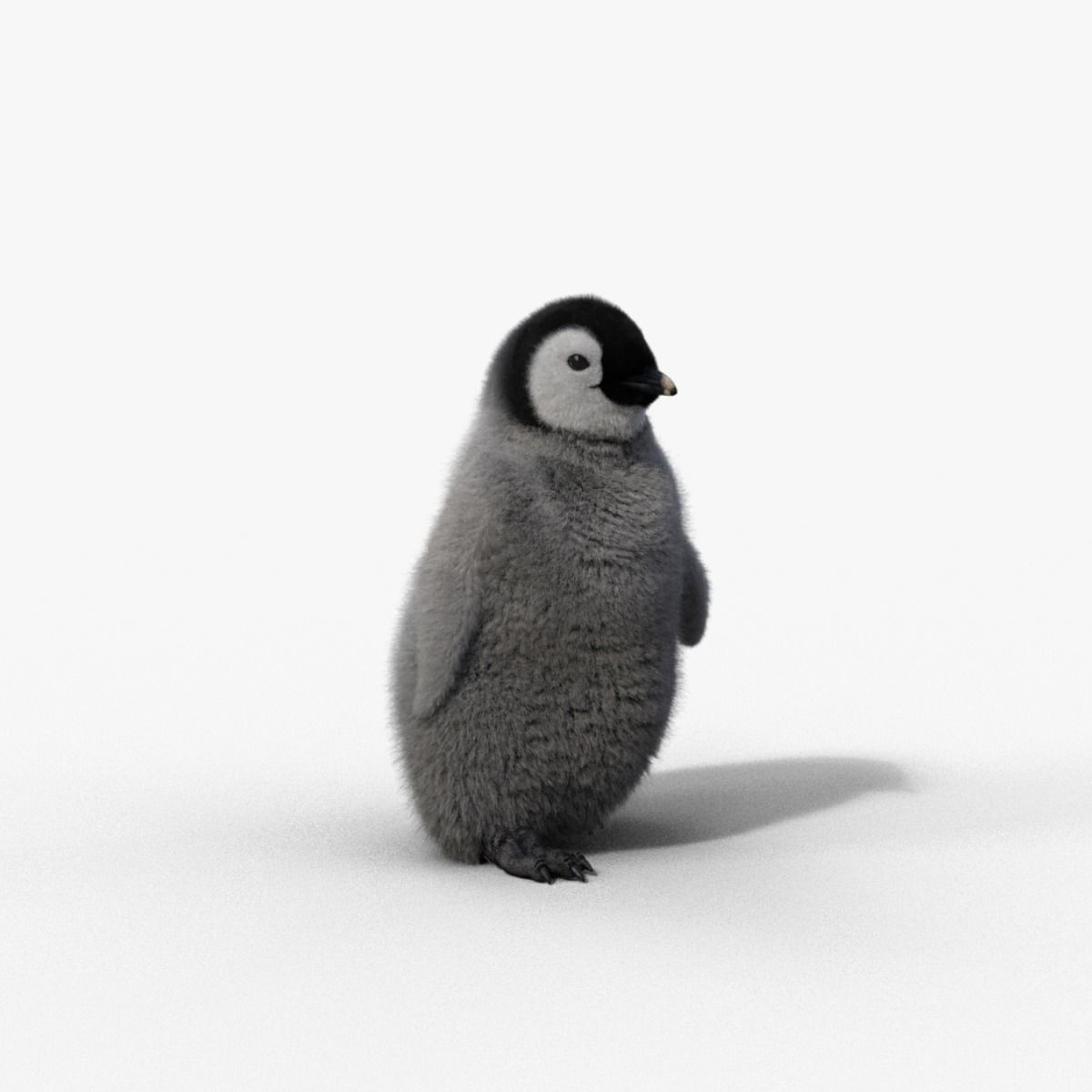 Baby Emperor Penguin Animated VFX Grace 3D model_10