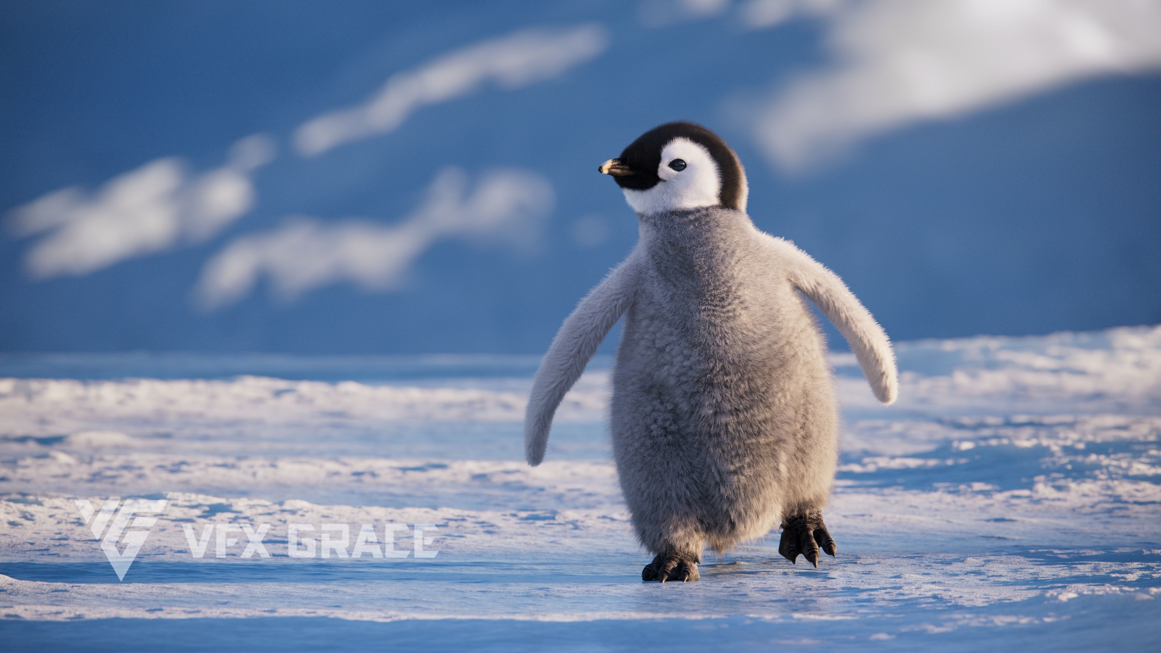 Baby Emperor Penguin Animated VFX Grace 3D model_8