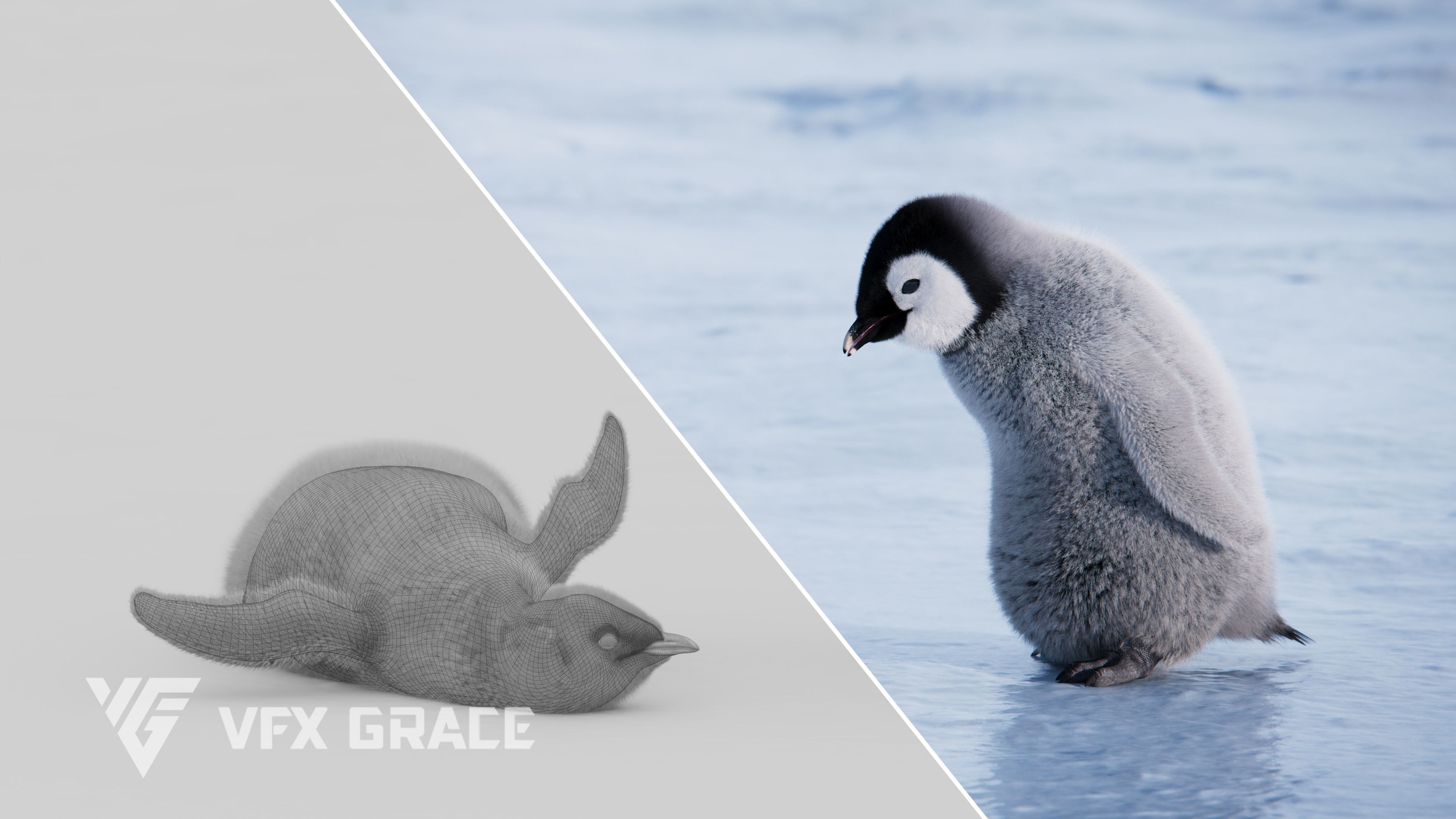 Baby Emperor Penguin Animated VFX Grace 3D model_7