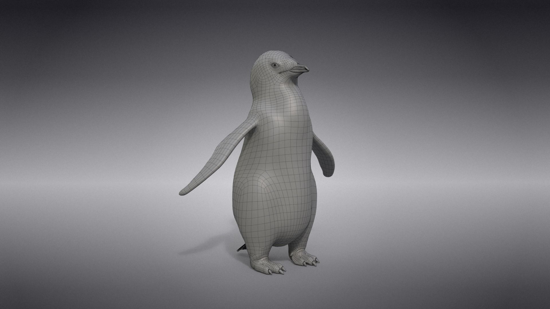 Baby Emperor Penguin Animated VFX Grace 3D model_27