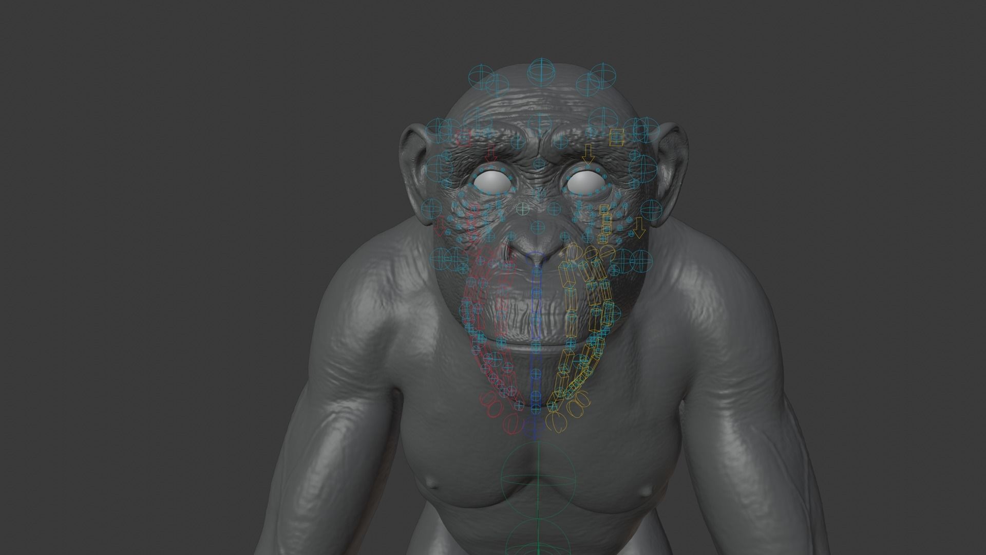 Chimpanzee Rigged VFX Grace 3D model_15