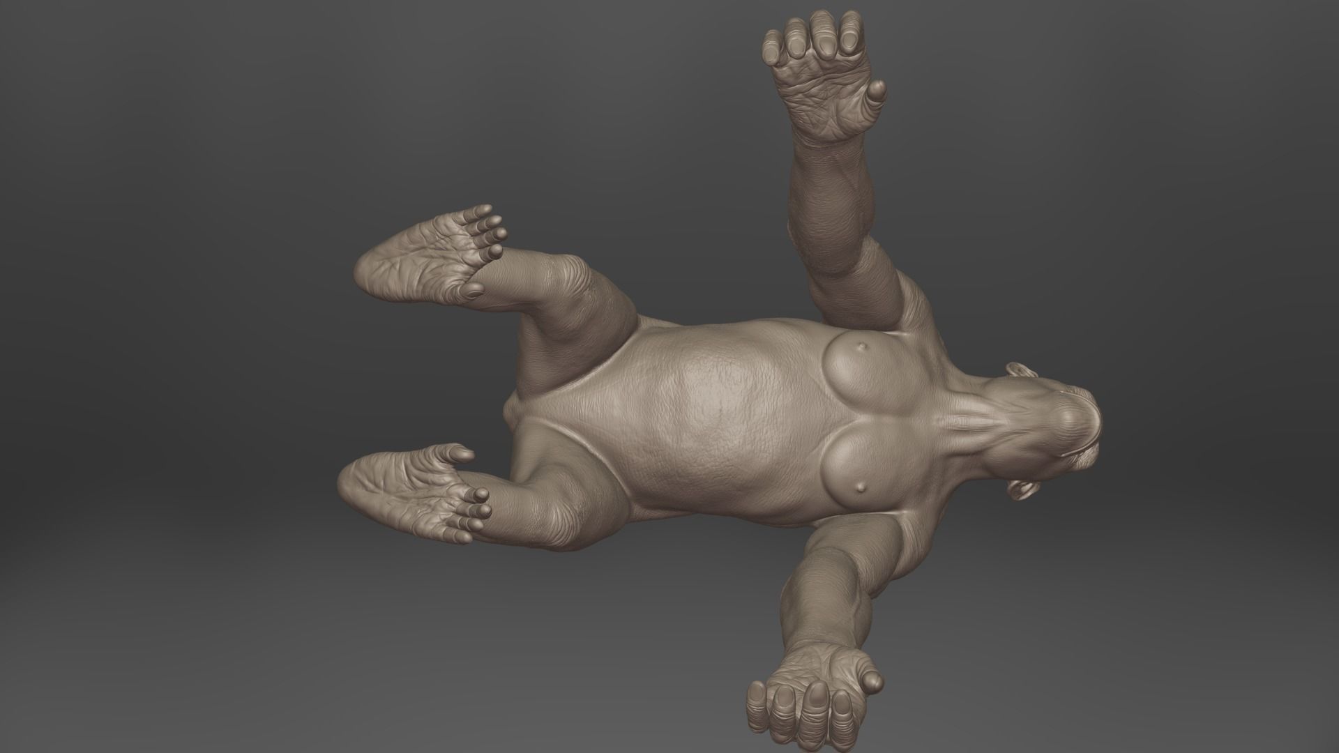 Chimpanzee Rigged VFX Grace 3D model_13