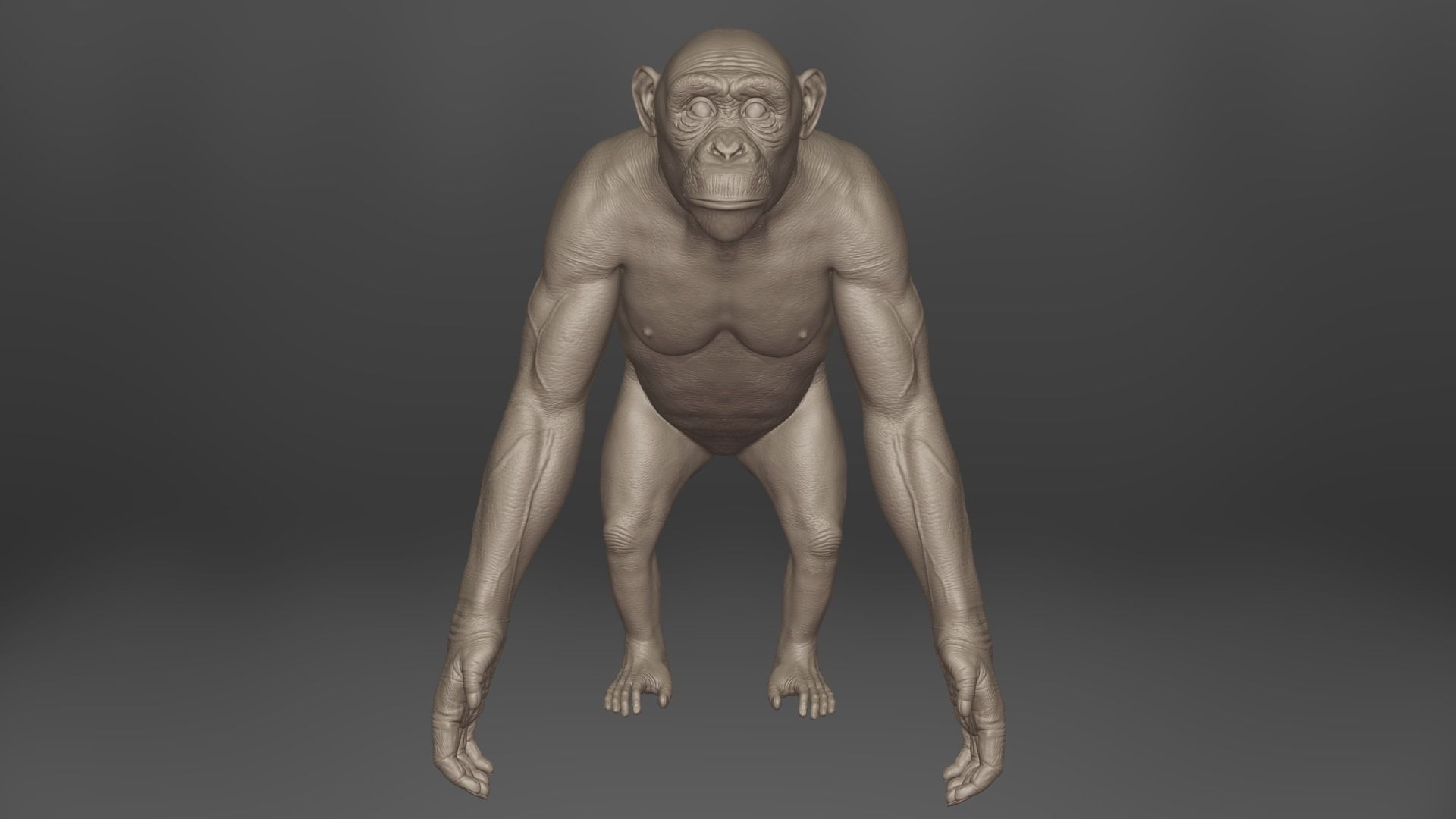 Chimpanzee Rigged VFX Grace 3D model_7