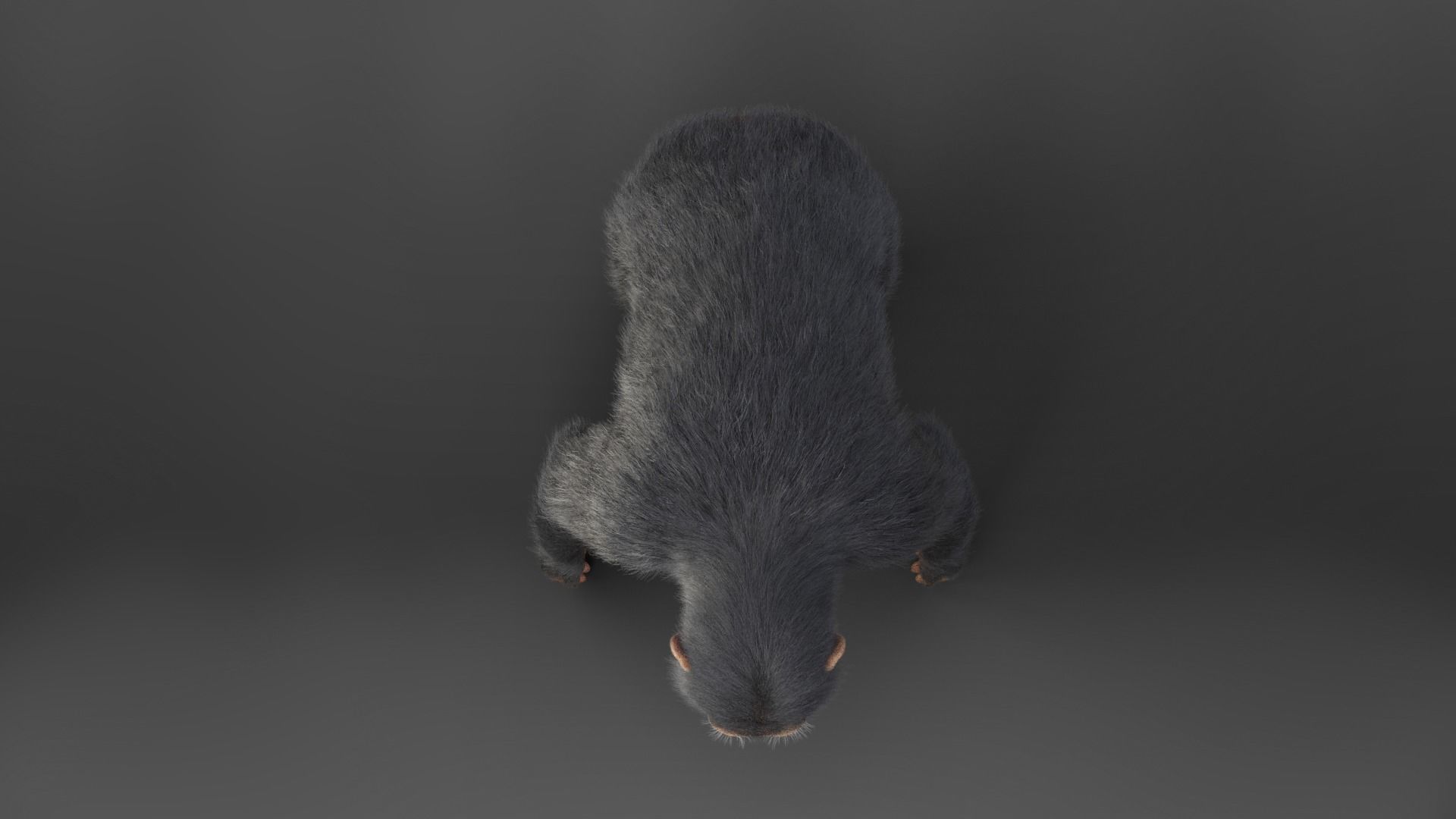 Chimpanzee Rigged VFX Grace 3D model_6