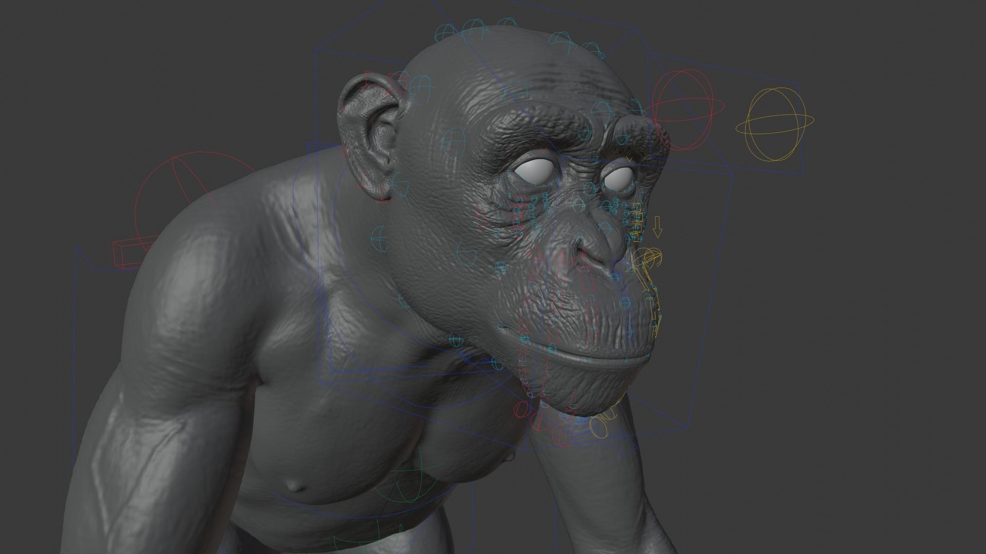 Chimpanzee Rigged VFX Grace 3D model_14