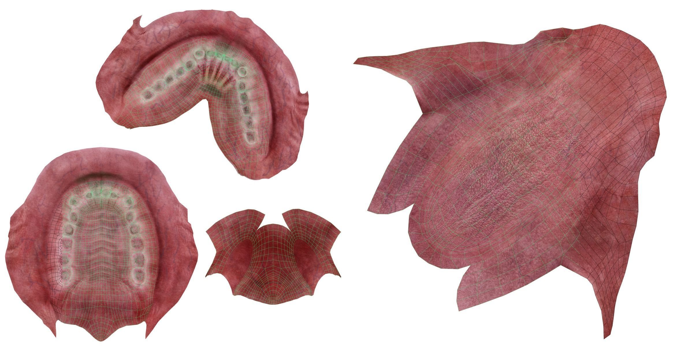 Chimpanzee Rigged VFX Grace 3D model_25