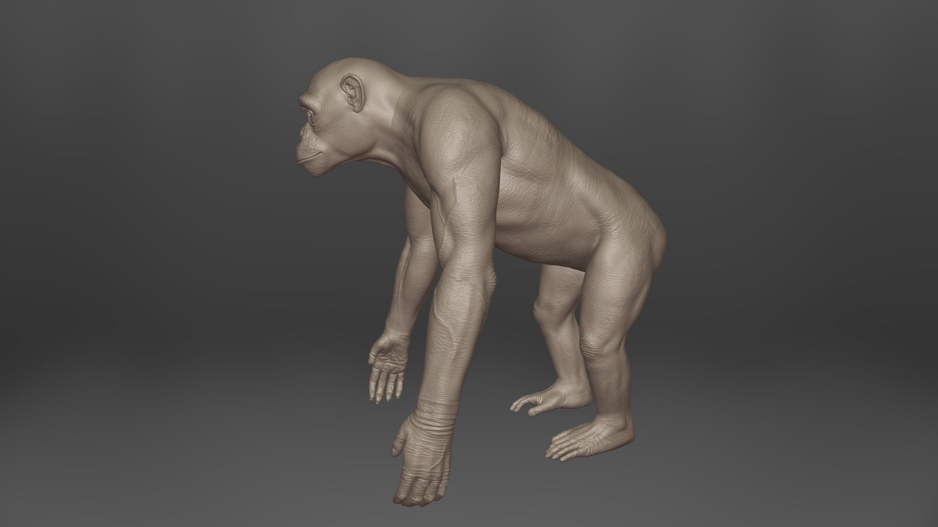 Chimpanzee Rigged VFX Grace 3D model_8