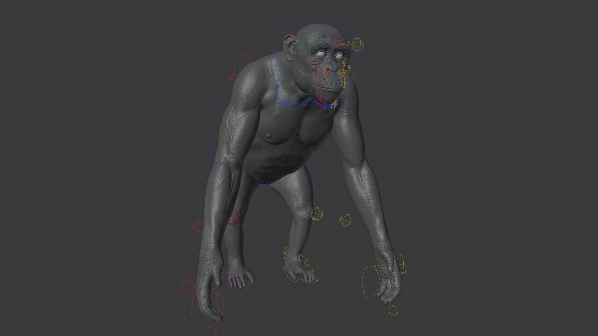 Chimpanzee Rigged VFX Grace 3D model_17
