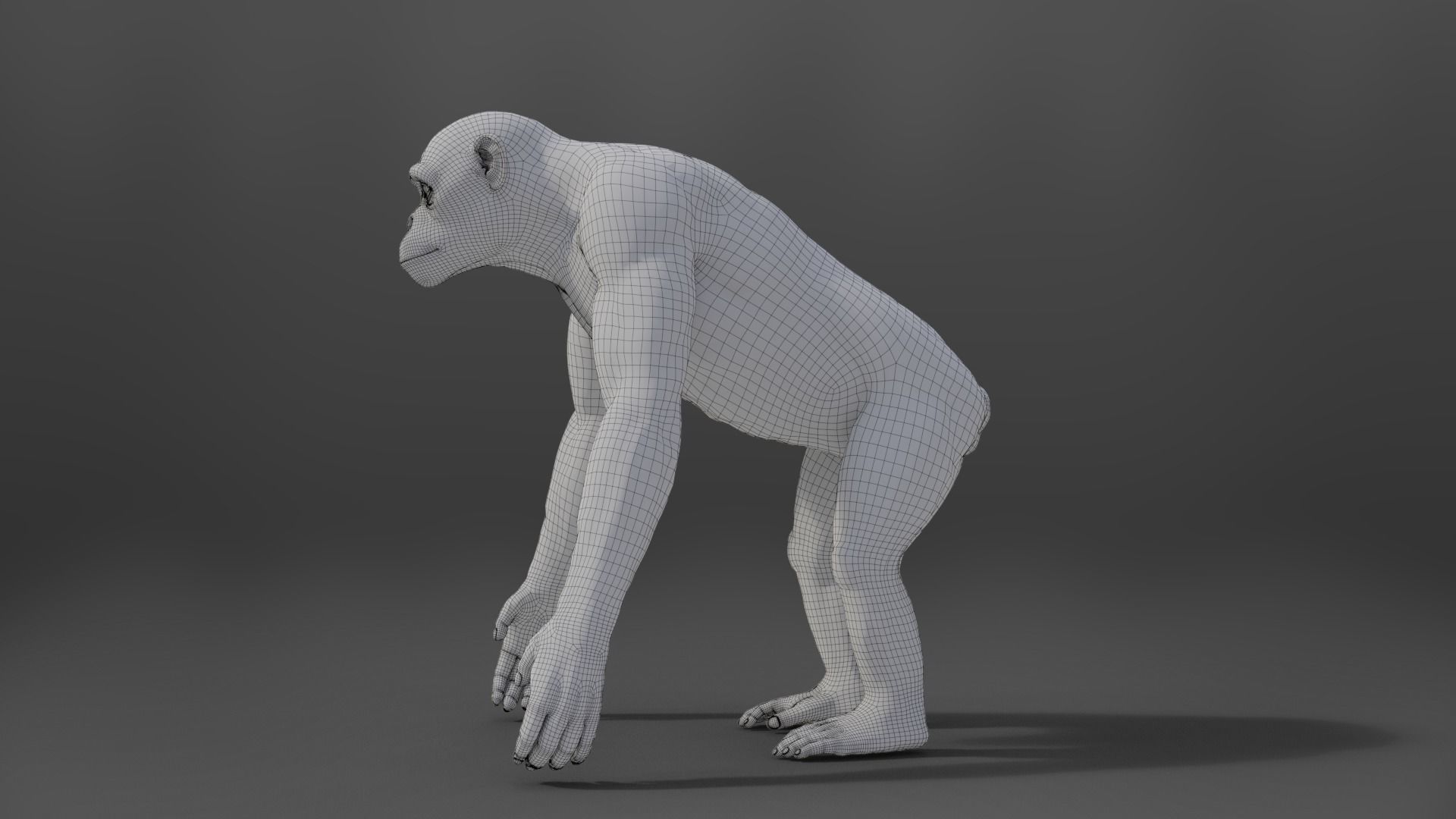 Chimpanzee Rigged VFX Grace 3D model_20