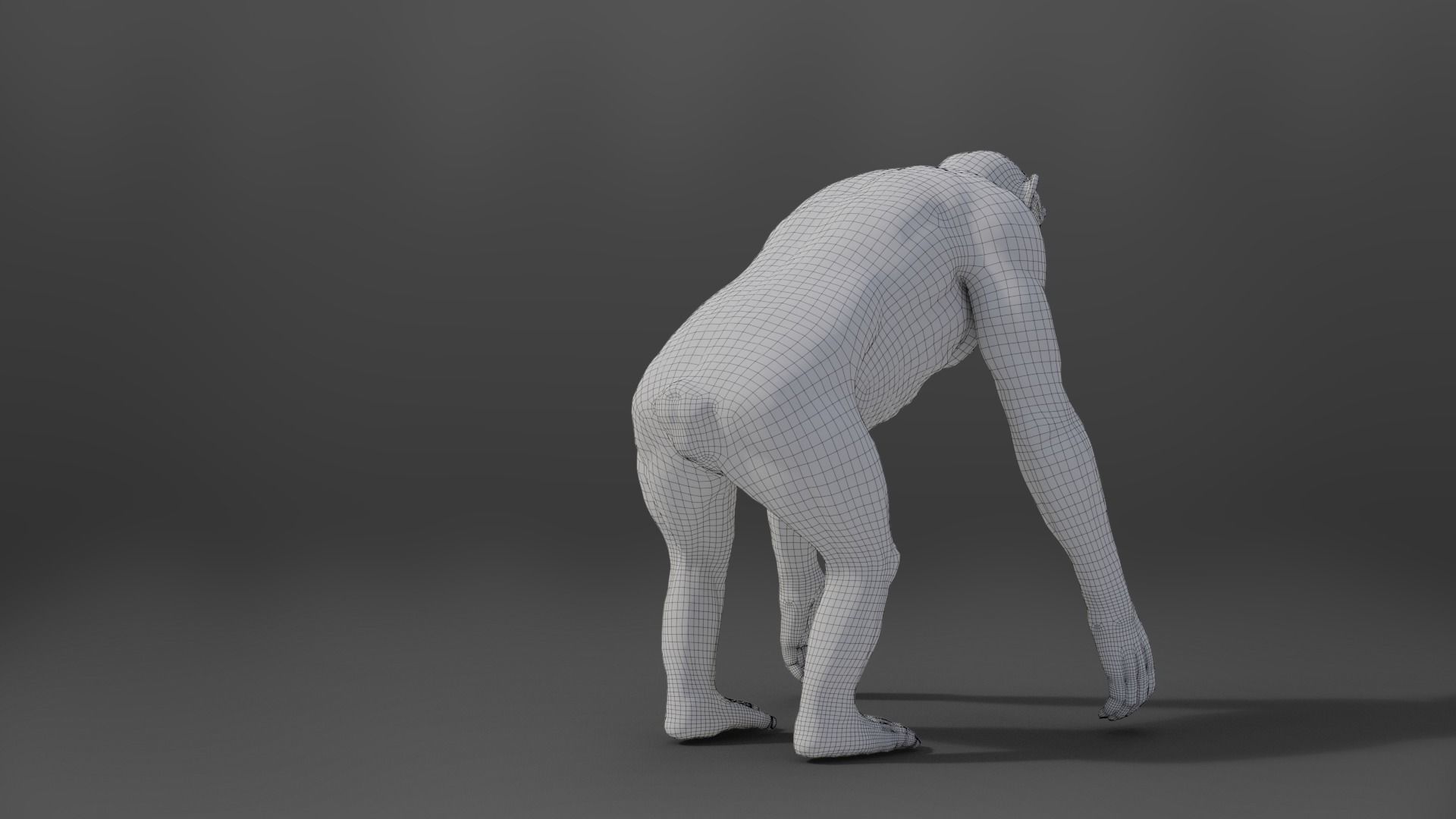 Chimpanzee Rigged VFX Grace 3D model_19