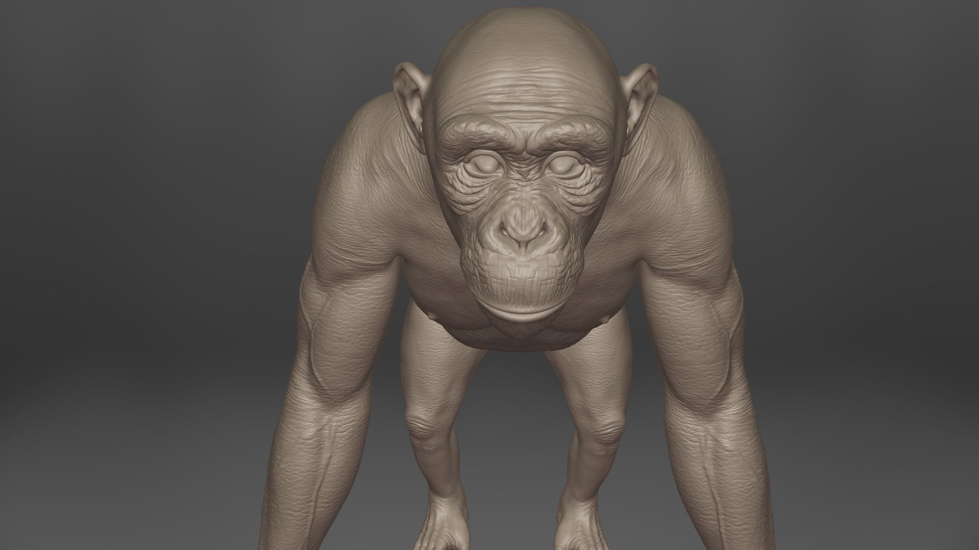 Chimpanzee Rigged VFX Grace 3D model_12