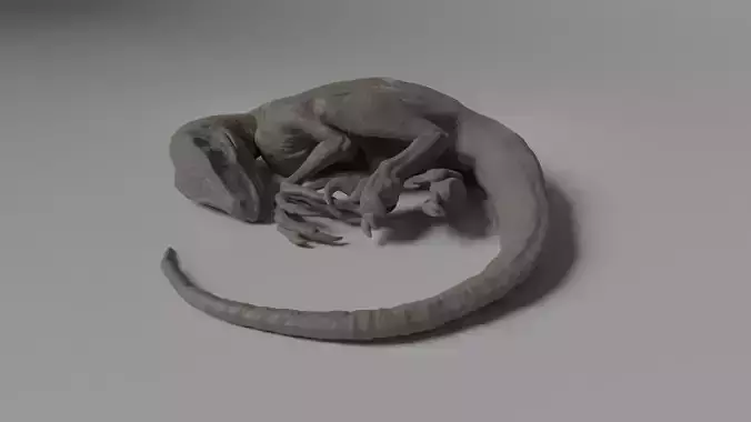 Sleeping Jurassic Park Raptor Ready for 3D printing 3D print model