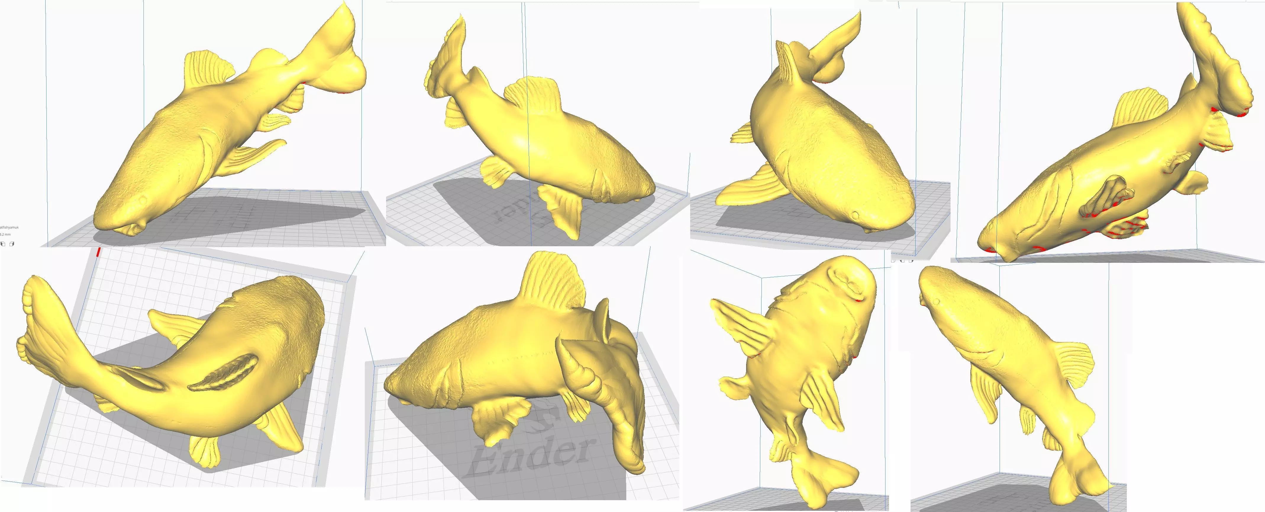 redtail catfish sculpt stl obj 3D print model_0