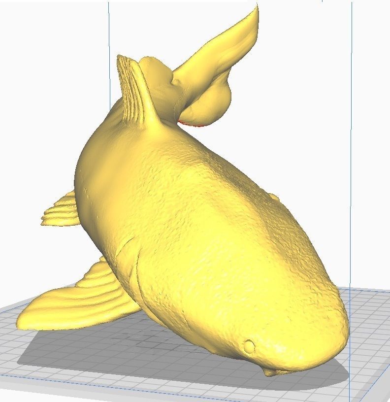 redtail catfish sculpt stl obj 3D print model_3