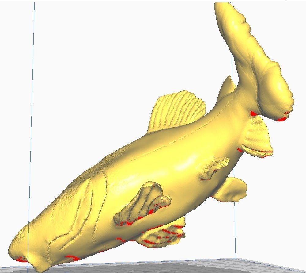 redtail catfish sculpt stl obj 3D print model_5