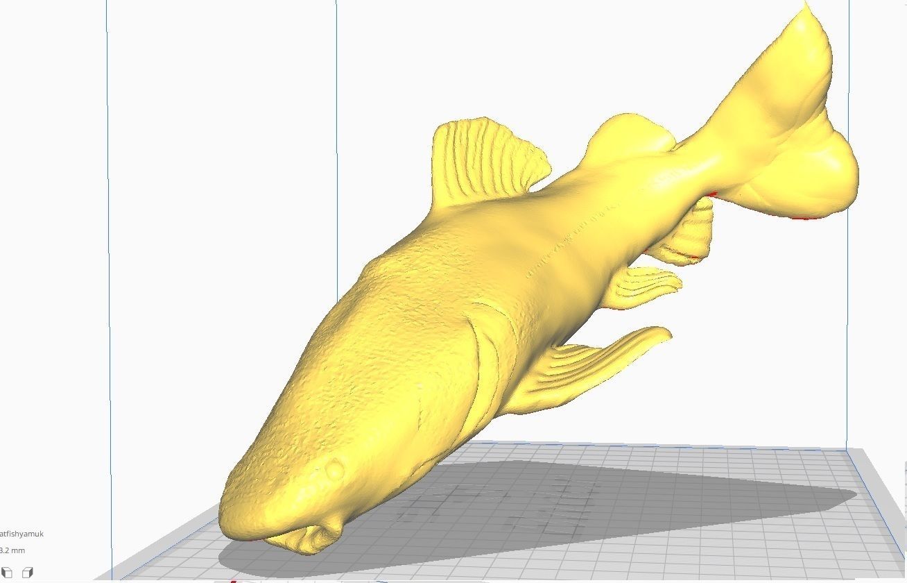 redtail catfish sculpt stl obj 3D print model_1