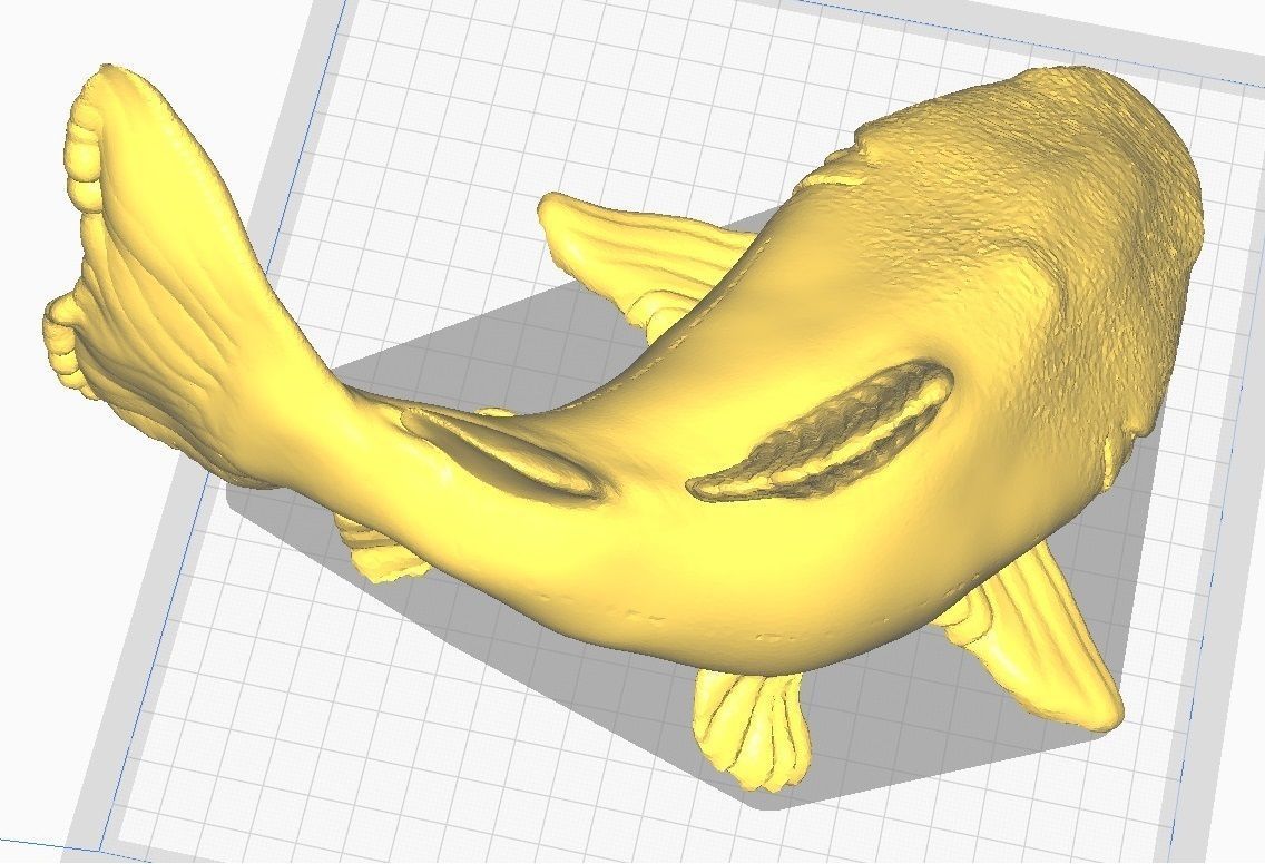 redtail catfish sculpt stl obj 3D print model_4