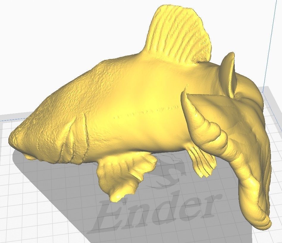 redtail catfish sculpt stl obj 3D print model_6
