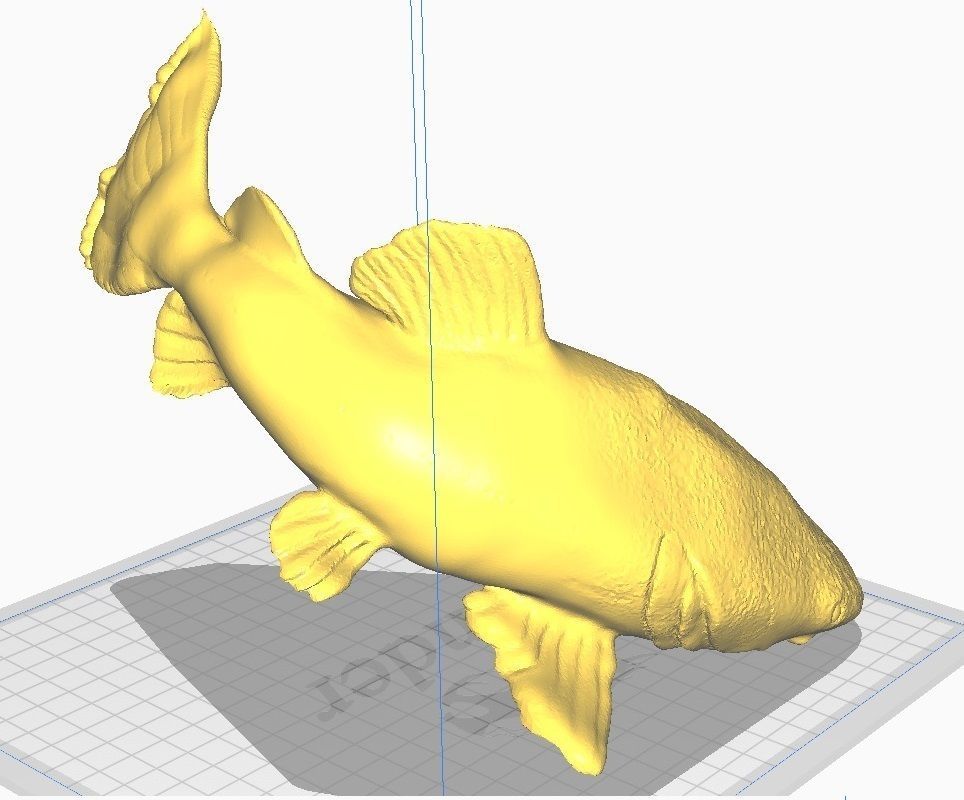 redtail catfish sculpt stl obj 3D print model_2