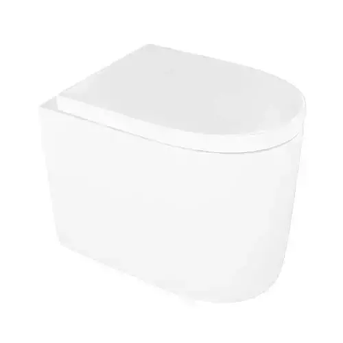 White Acrylic Toilet Bowl