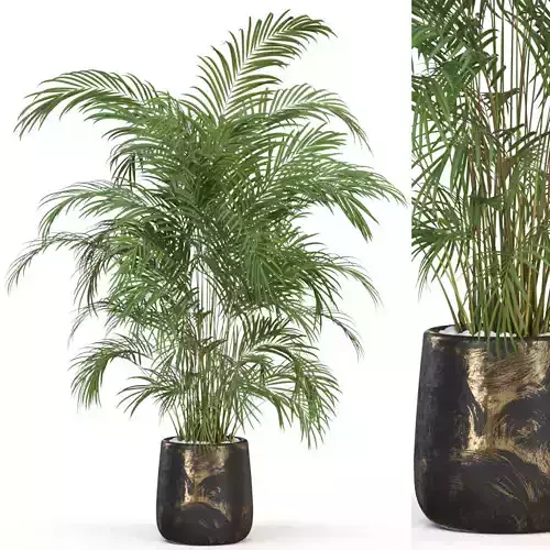 Plants collection 630 3D model
