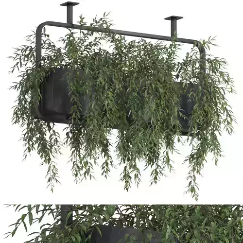 Plants collection 632 3D model