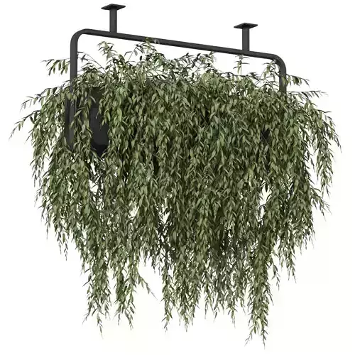 Plants collection 633 3D model