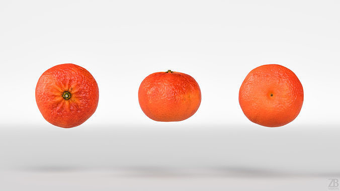 Clementine 3D model 5