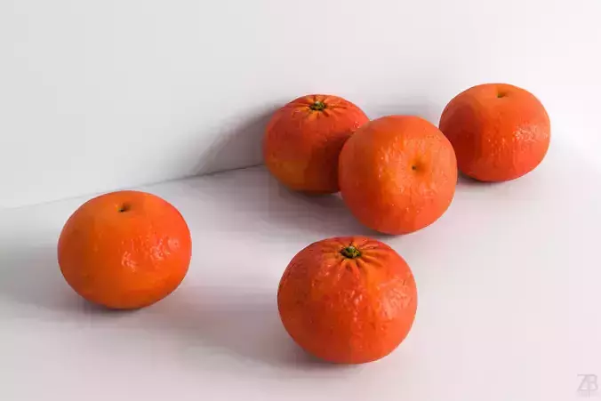Clementine 3D model