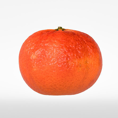 Clementine 3D model 6