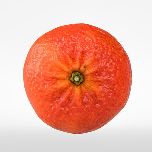 Clementine 3D model 7