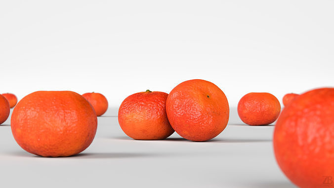 Clementine 3D model 2