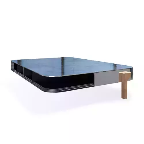 Vincenzo De Cotiis coffee table