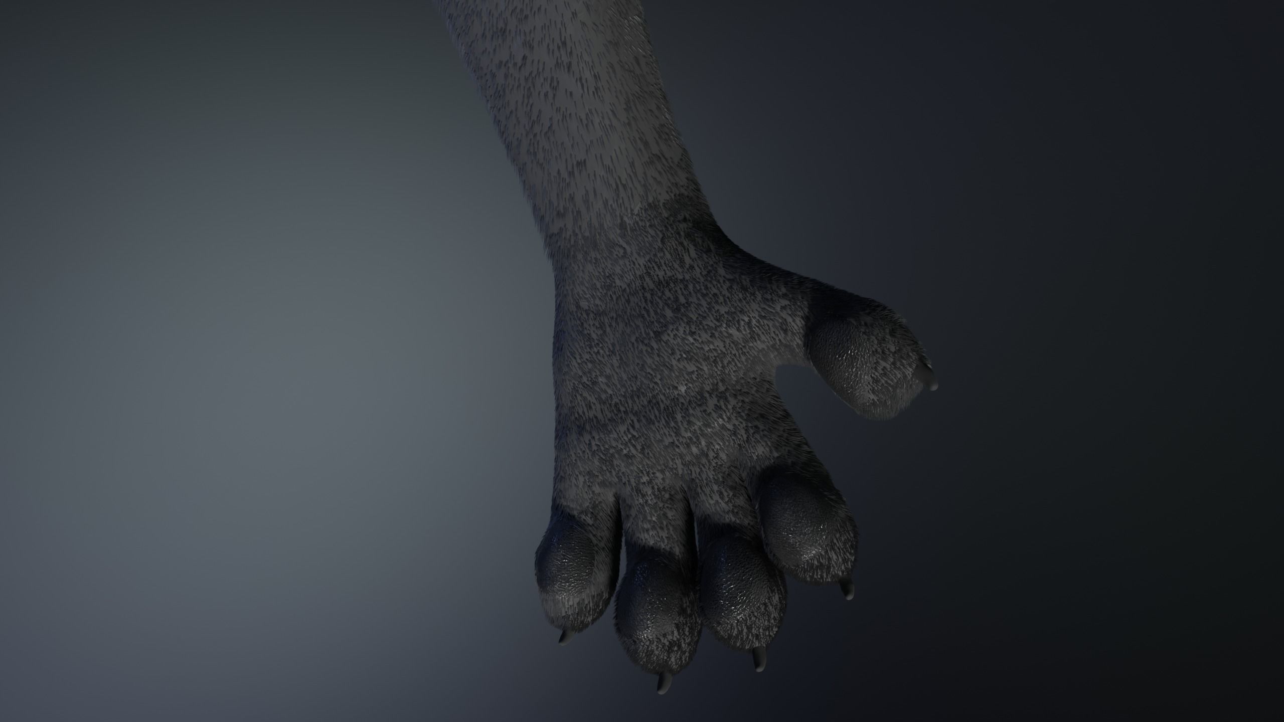 Niko Anthro Panther 3D model_11