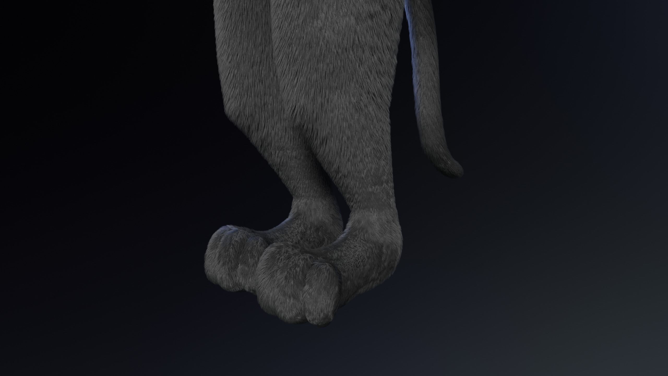 Niko Anthro Panther 3D model_9