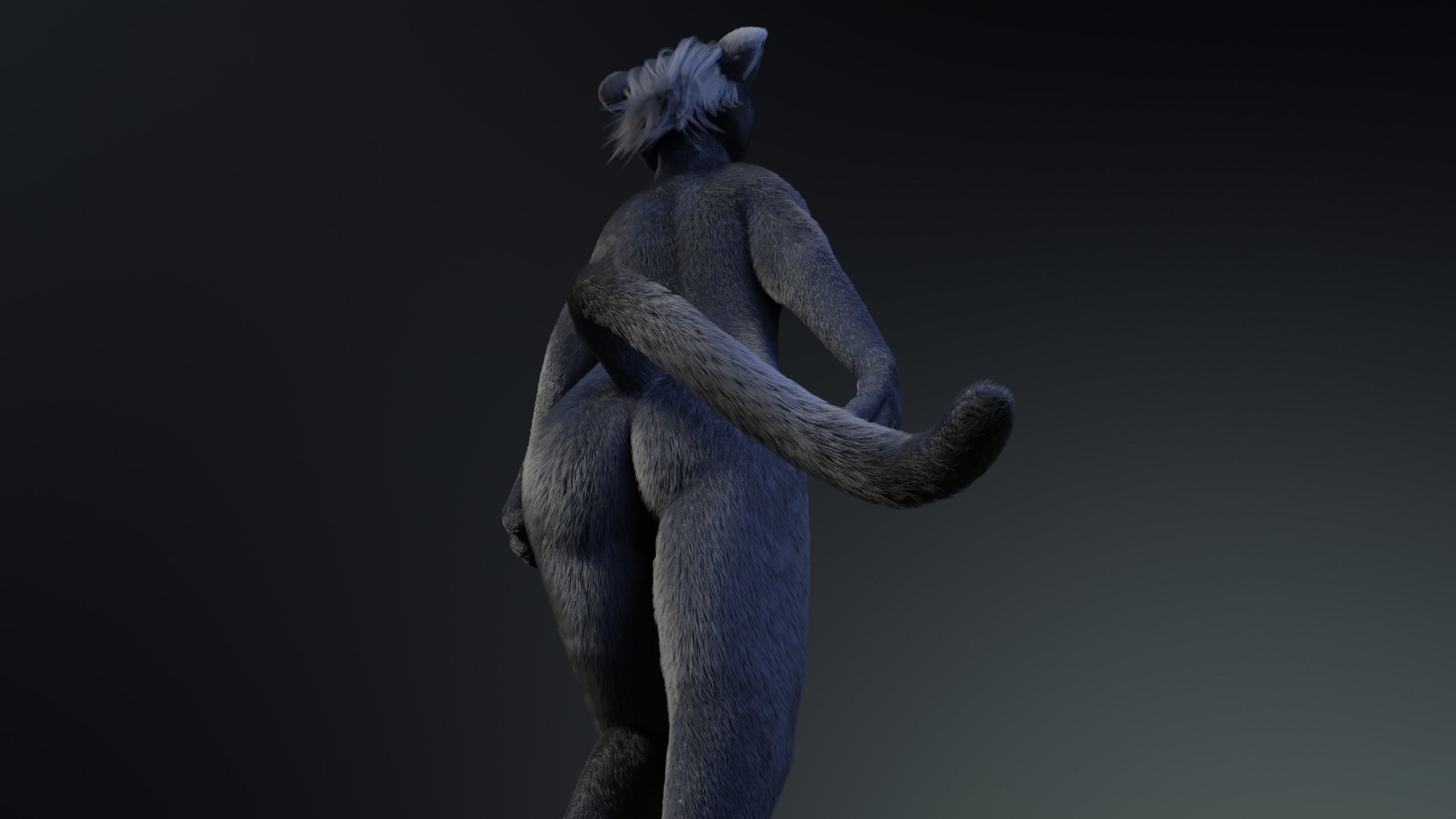 Niko Anthro Panther 3D model_20