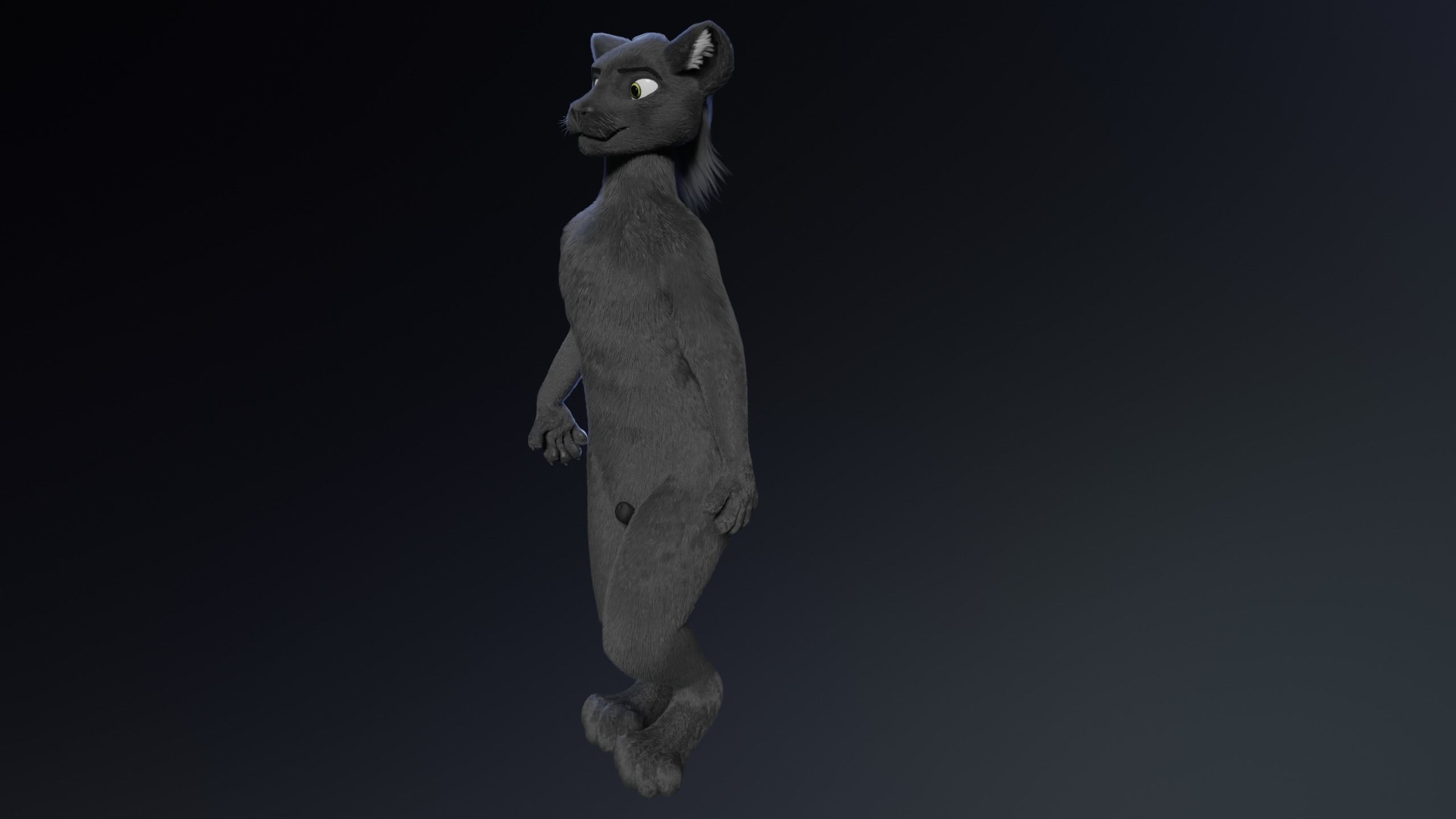 Niko Anthro Panther 3D model_18