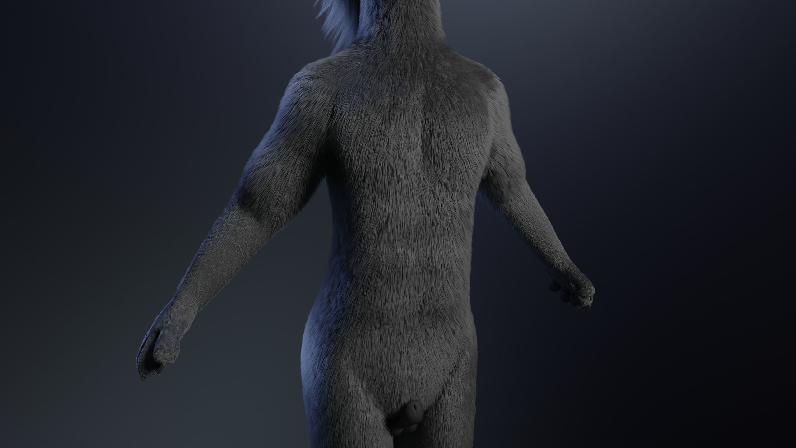 Niko Anthro Panther 3D model_8