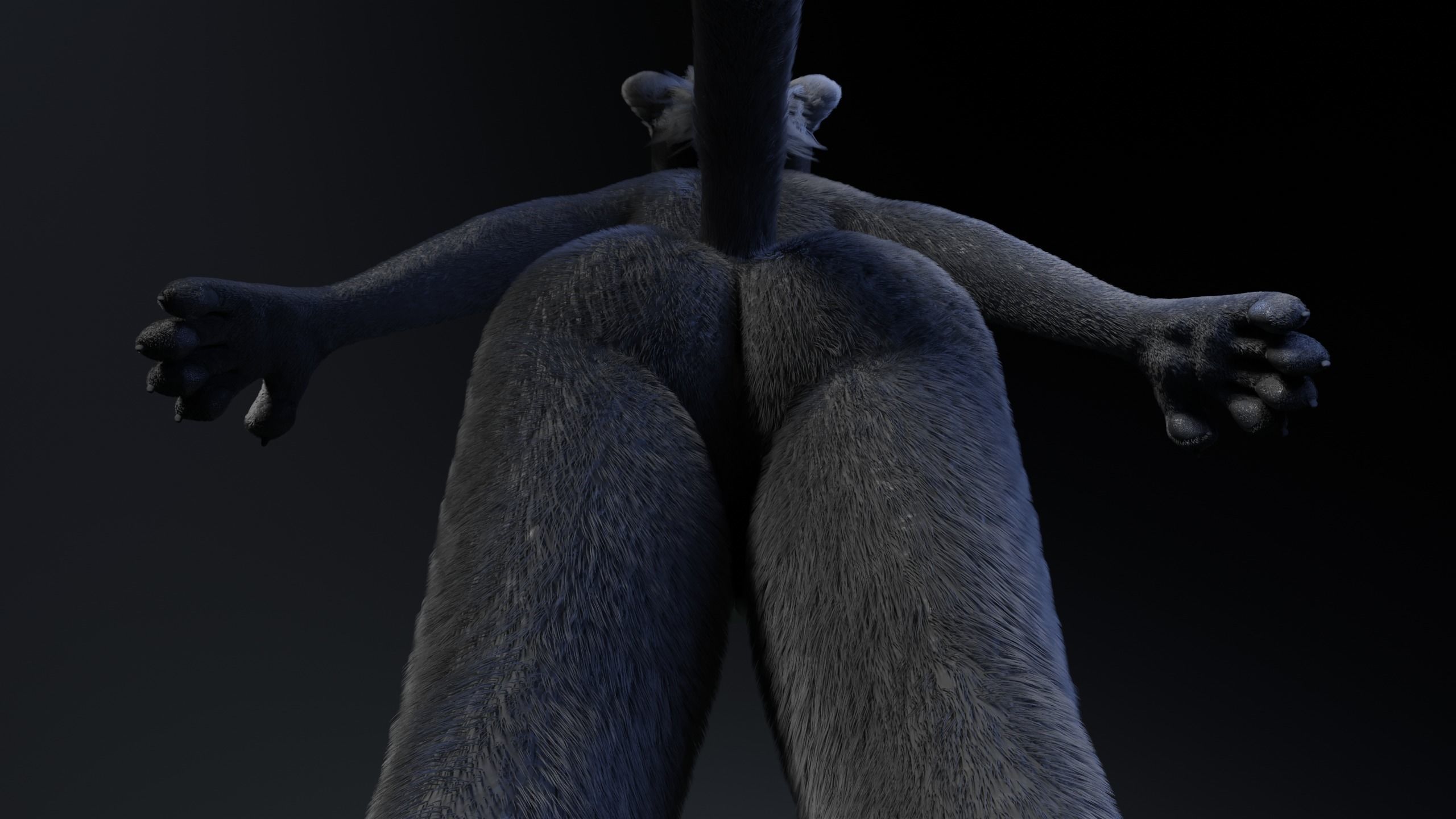 Niko Anthro Panther 3D model_14