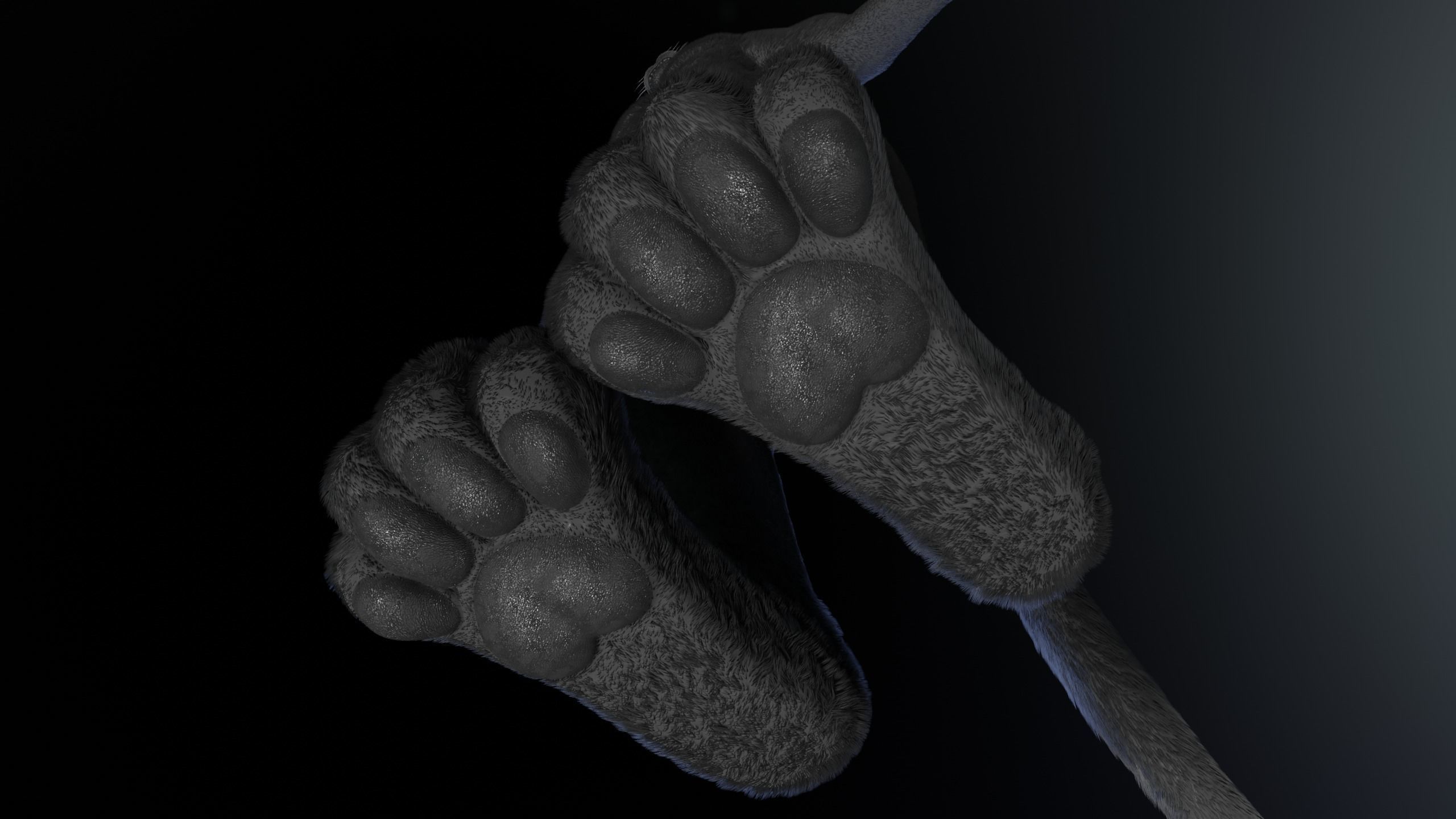 Niko Anthro Panther 3D model_12