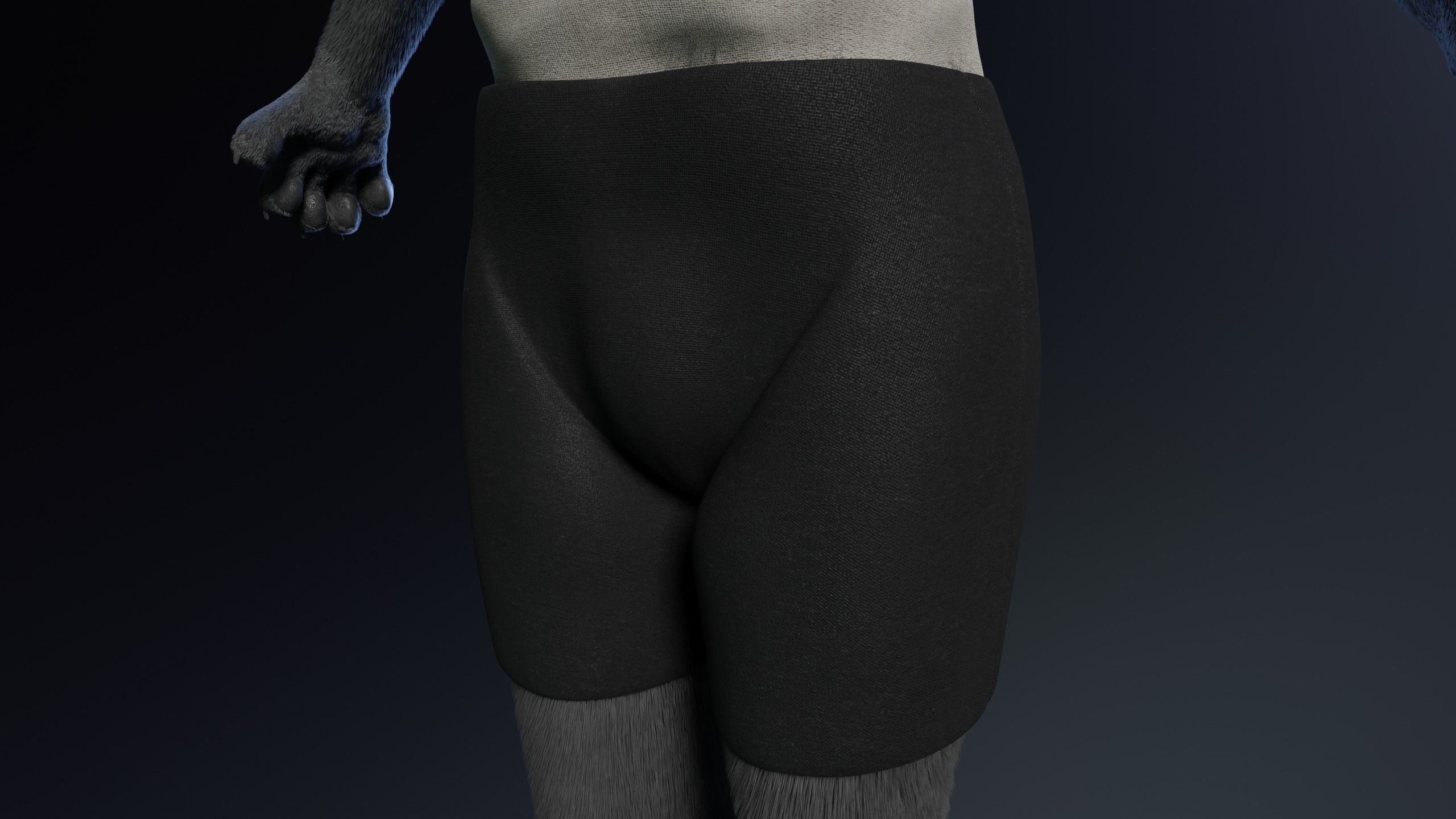 Niko Anthro Panther 3D model_23