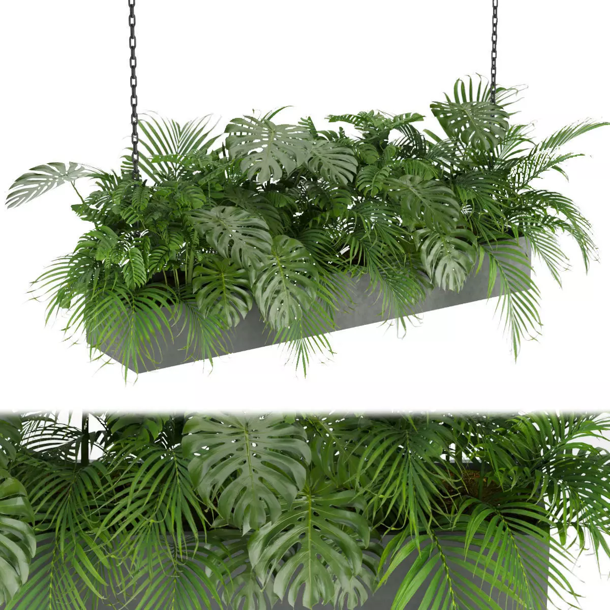 Collection plant vol 306 - indoor - monstera - palm- 3D model
